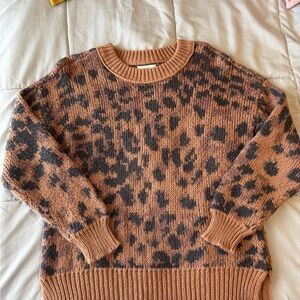 Aerie Leopard Patterned Sweater